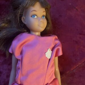 Vintage Skipper Doll Brunette
